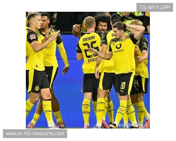 泰尔齐奇称自己更成熟，迎接即将到来的机会，埃丁·泰尔齐奇